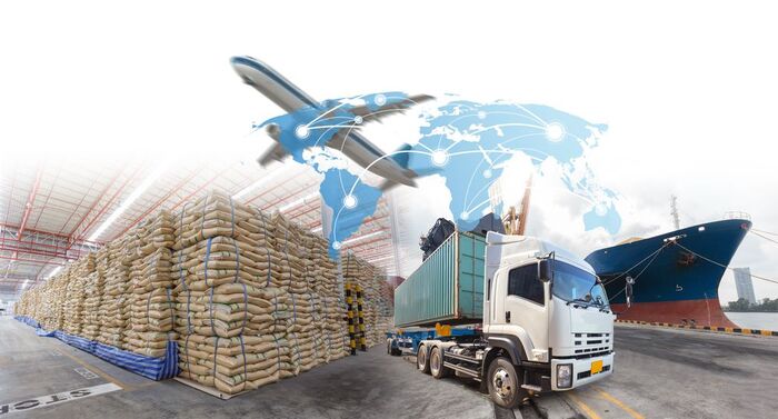Logistique de service : définition, bonnes pratiques et innovations 2024